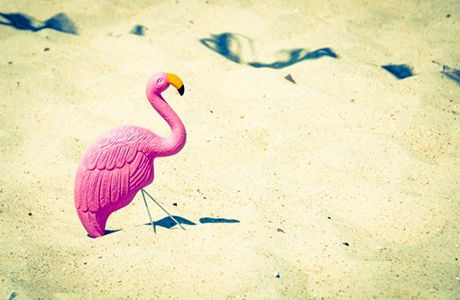 Les Bons Plans Vacances 2018 #2